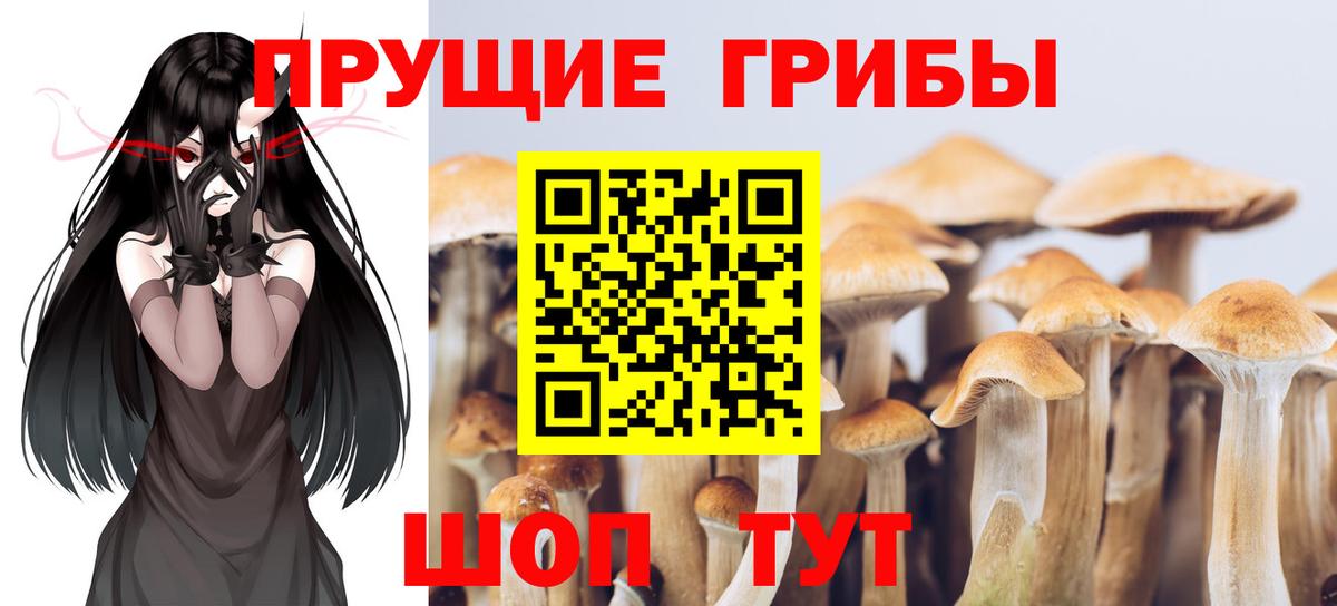 Галлюциногенные грибы прущие грибы Урус-Мартан