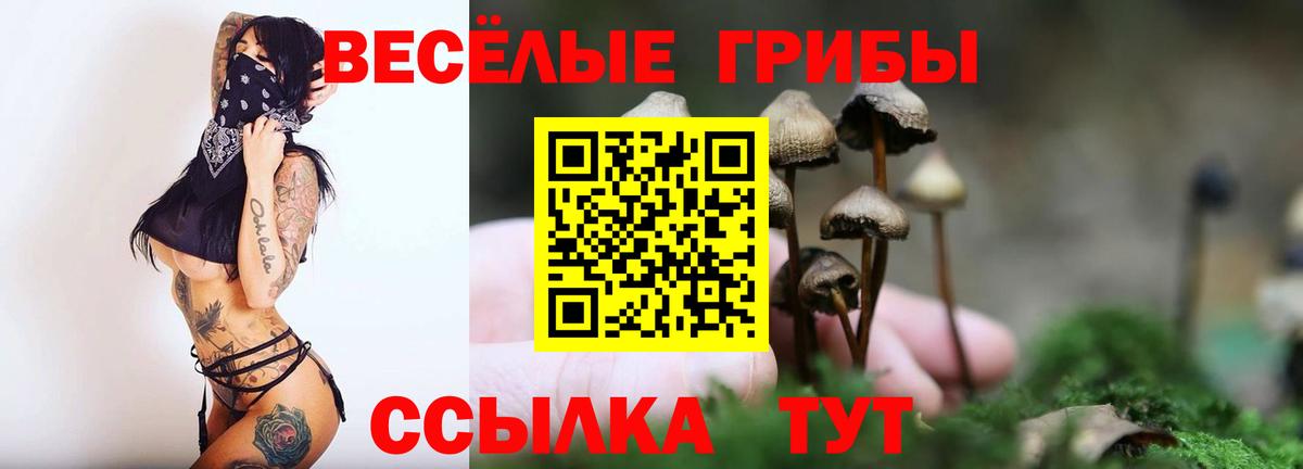 Галлюциногенные грибы мухоморы  Галлюциногенные грибы мухоморы  Урус-Мартан  Вход с VPN 